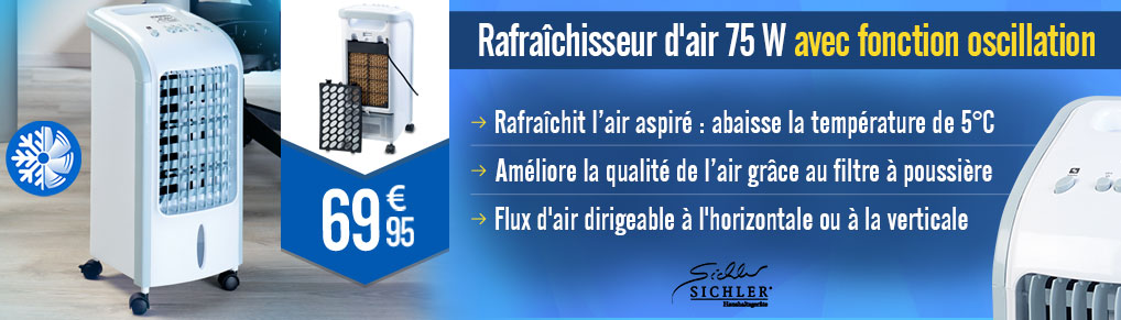 Rafraîchisseur d'air 75 W avec fonction oscillation LW-420.w - NX3166