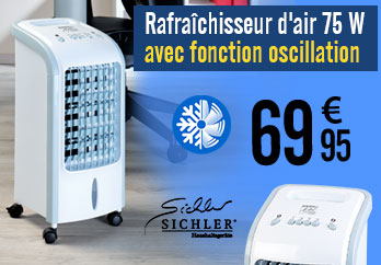 Rafraîchisseur d'air 75 W avec fonction oscillation LW-420.w - NX3166